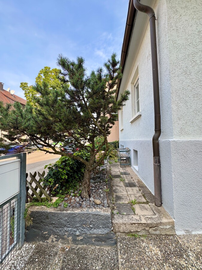 Vorgarten Ansicht 2