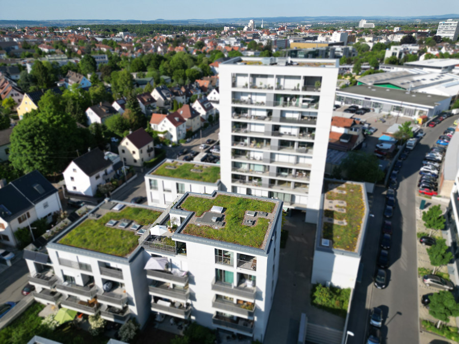 Vogelperspektive 4