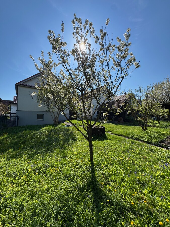 Garten Ansicht 4
