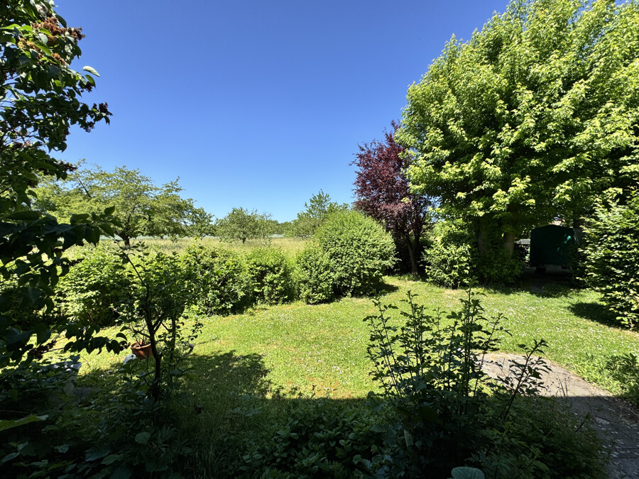 Blick vom Balkon 1