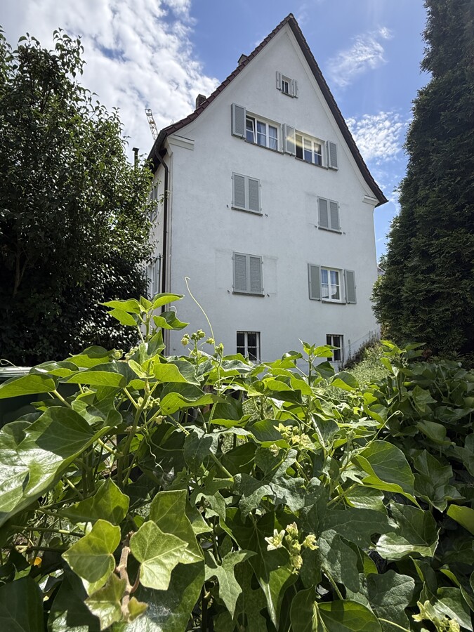 Seitenansicht 2