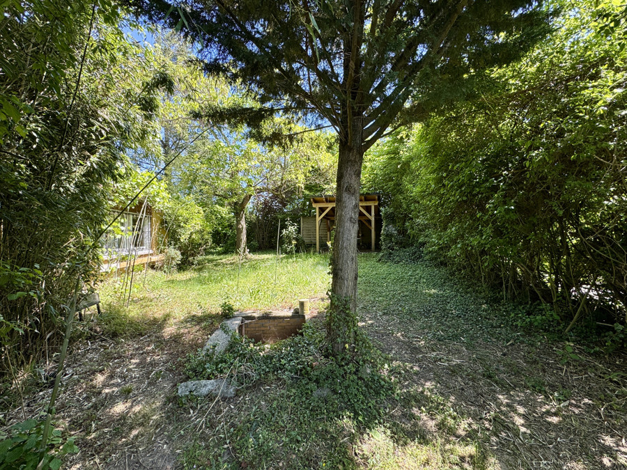 Garten Ansicht 5