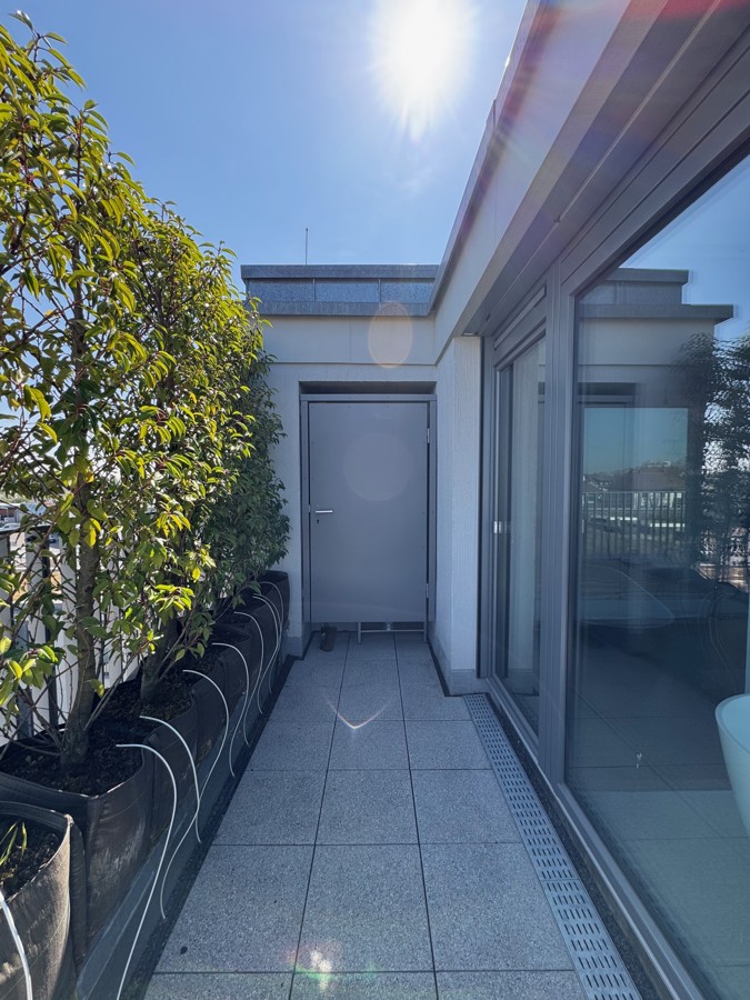 Dachterrasse Ansicht 4