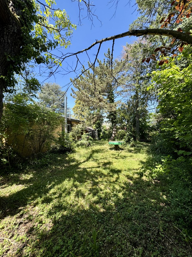 Garten Ansicht 1