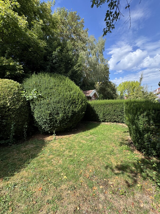 Gemeinschaftsgarten 