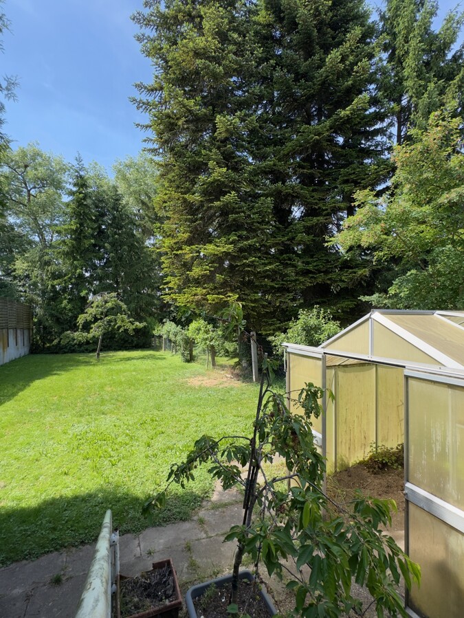 Blick in den Garten 2