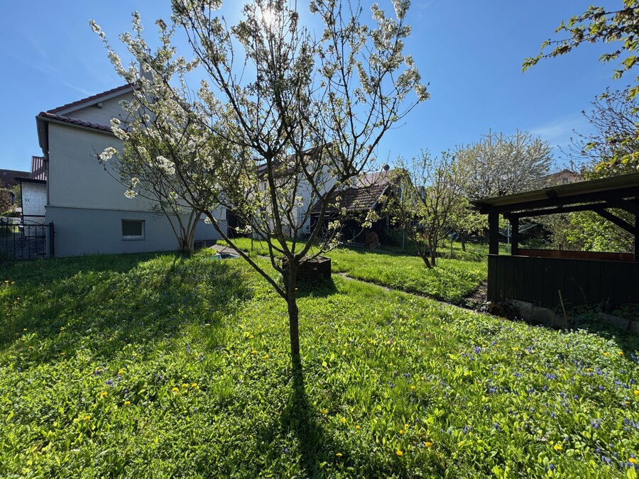 Garten Ansicht 5