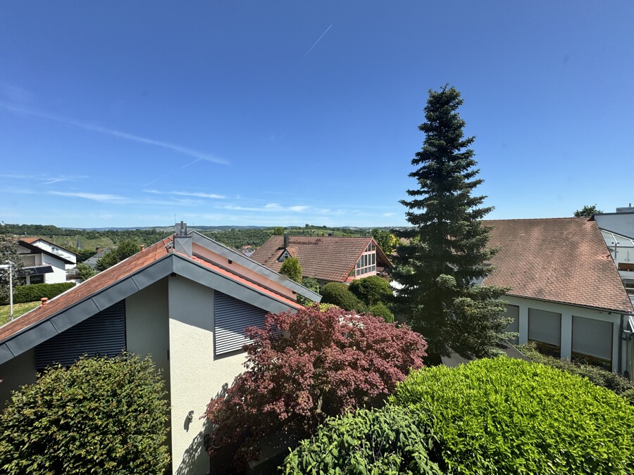 Ausblick Küche
