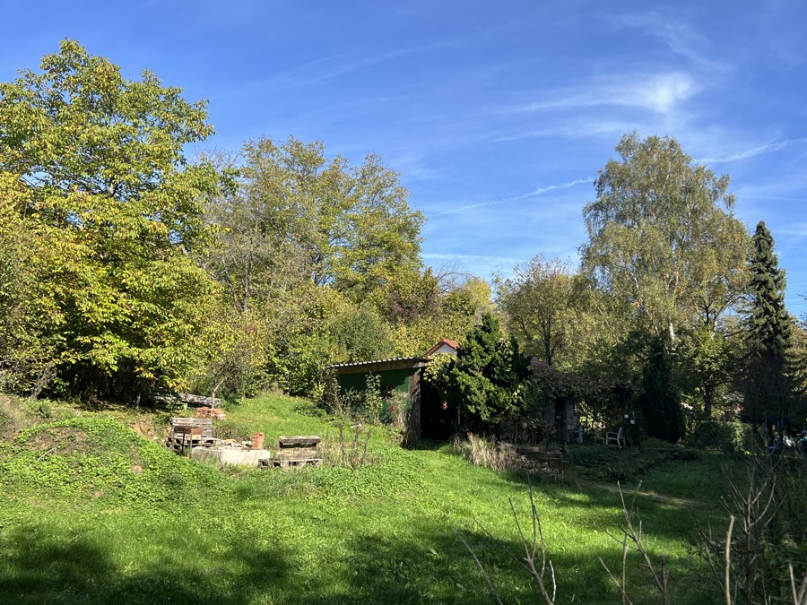 Garten Ansicht 3