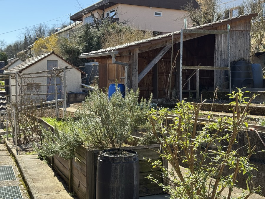 Garten_3