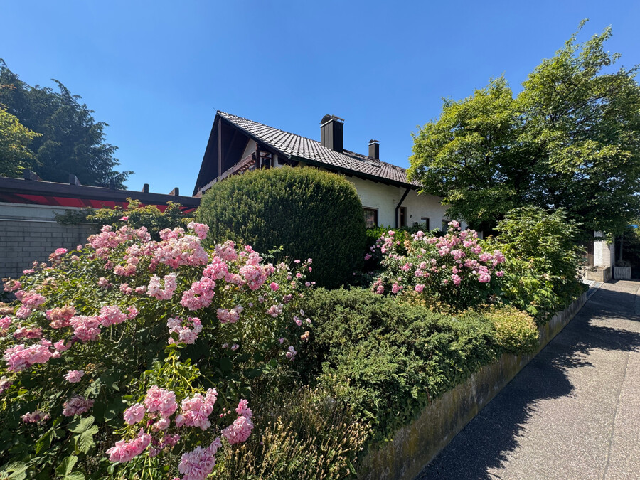 Ansicht
