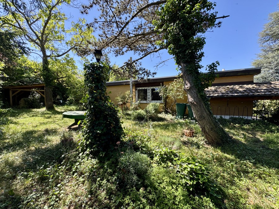 Garten Ansicht 3