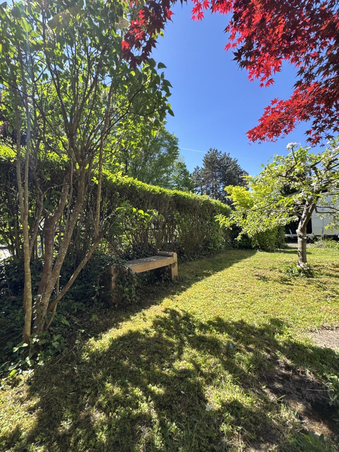 Garten Süd Ansicht 2