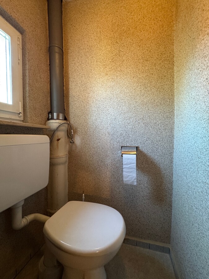 DG WC